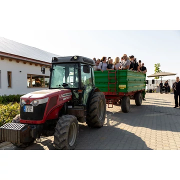 Szüret Tokaj-Hegyalján (2025.09.20.)