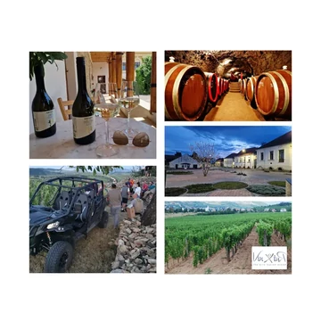 Mád - Tokaji bortúra és gasztronap ebéddel