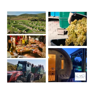 Szüreti mulatság a Tokaji borvidéken - 1 vagy 2 napos all inclusive túra