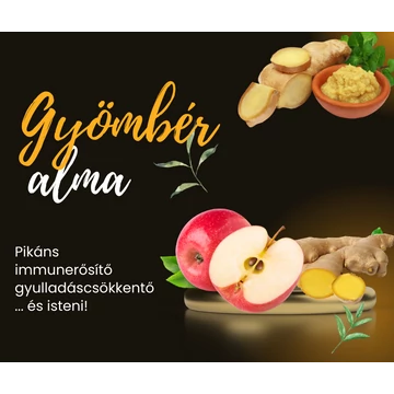 Gyömbéres almalé 3L