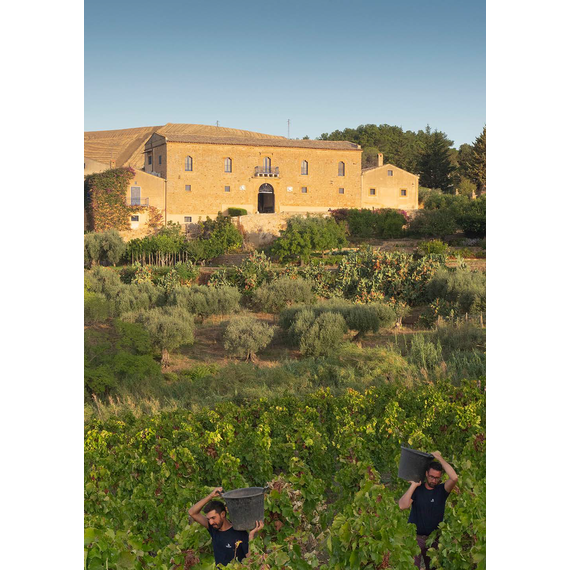 LAMÙRI NERO D'AVOLA 2020 DOC 75cl