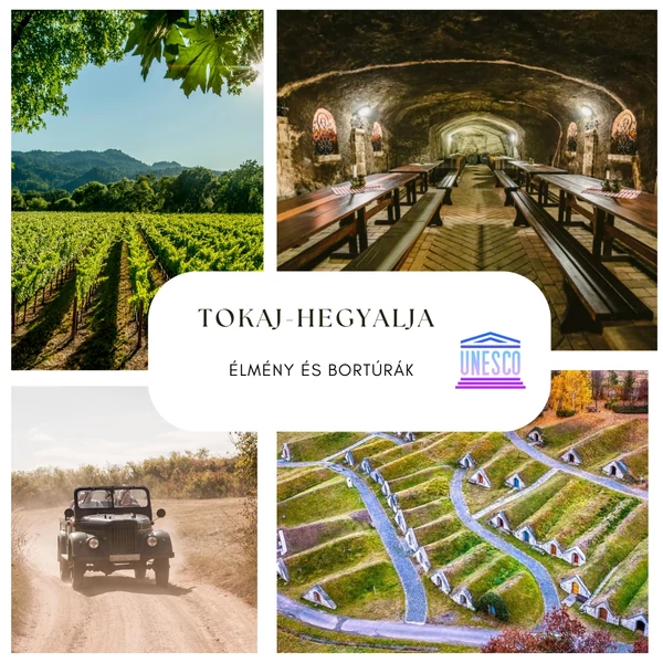 TOKAJI BORTÚRÁK