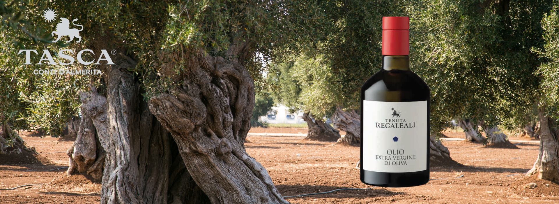 Olio Extra Vergine 2021